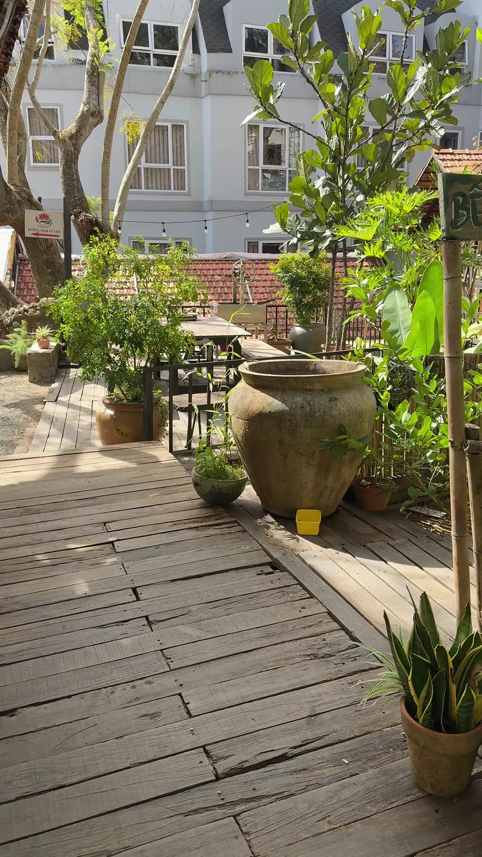 Khu vườn nhìn từ hiên gỗ — bàn sắt, ghế đệm hồng và cây hoa anh đào nhỏ